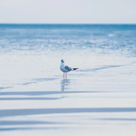 Na Cichej 5 A1 아파트