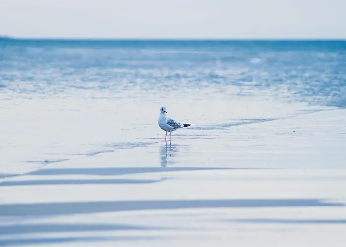 Na Cichej 5 A1 Apartman